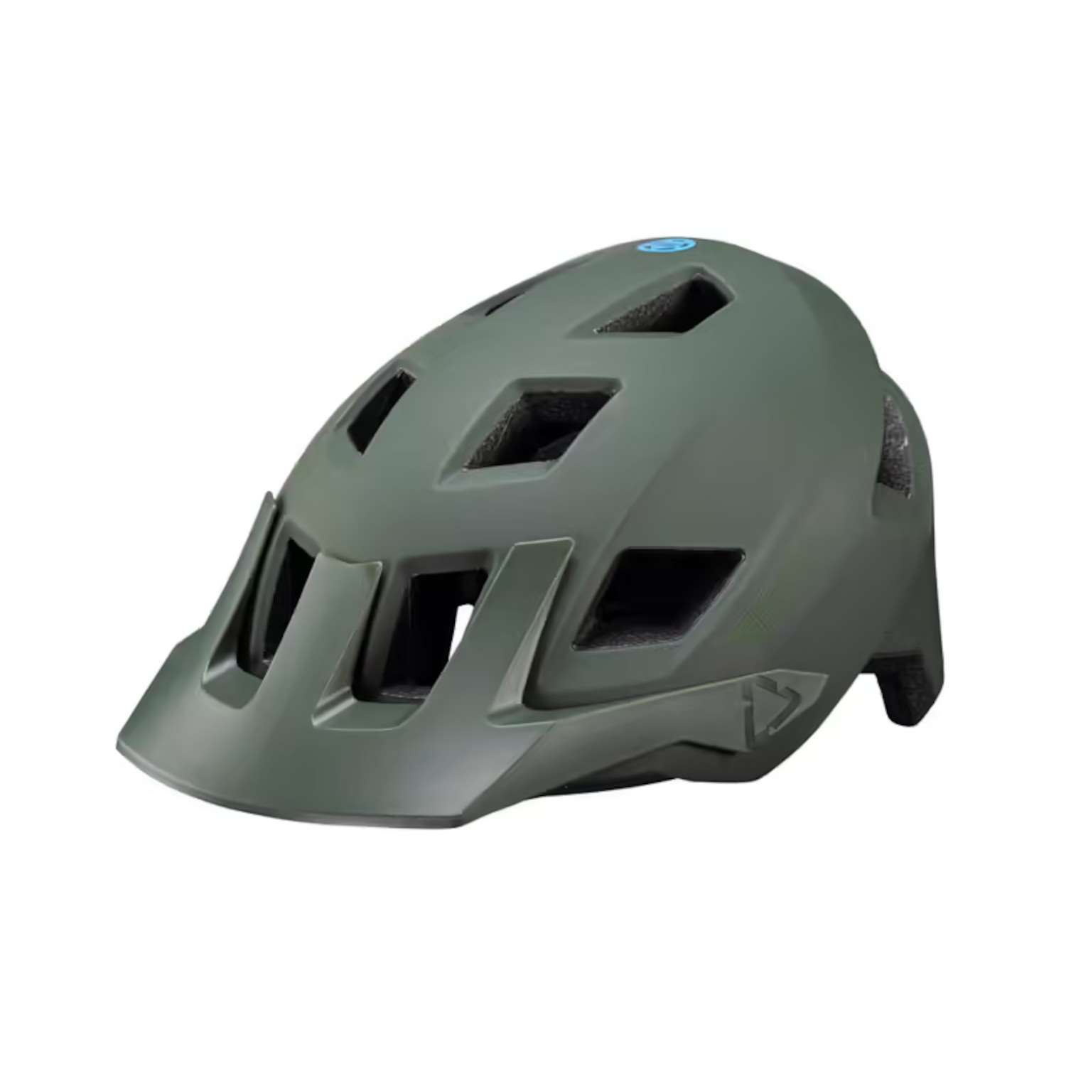 CASCO ALLMTN 1.0 V24 - SPINACH