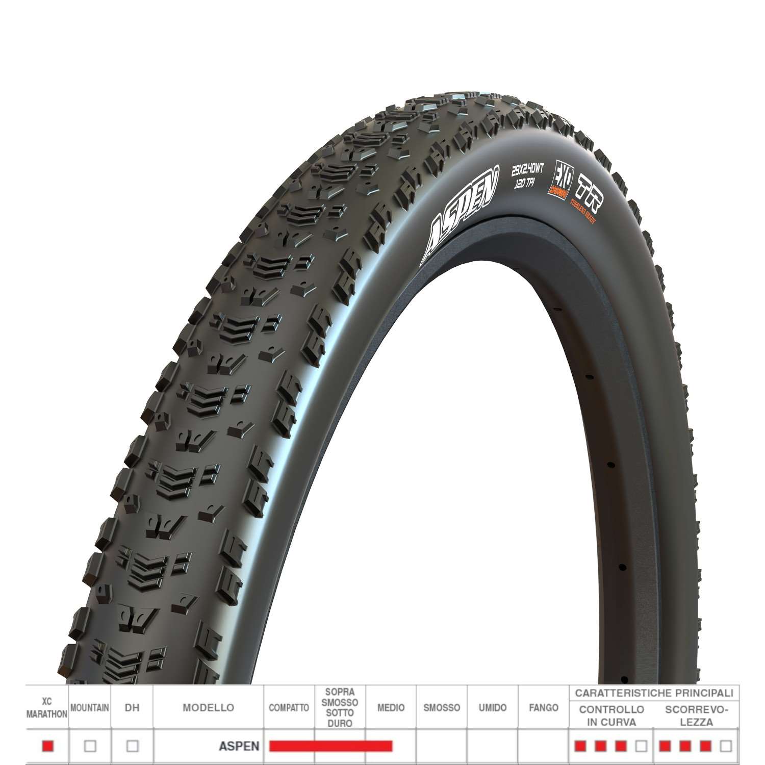 COPERTONE ASPEN 29X2.40 EXO TR 120TPI MAXXSPEED