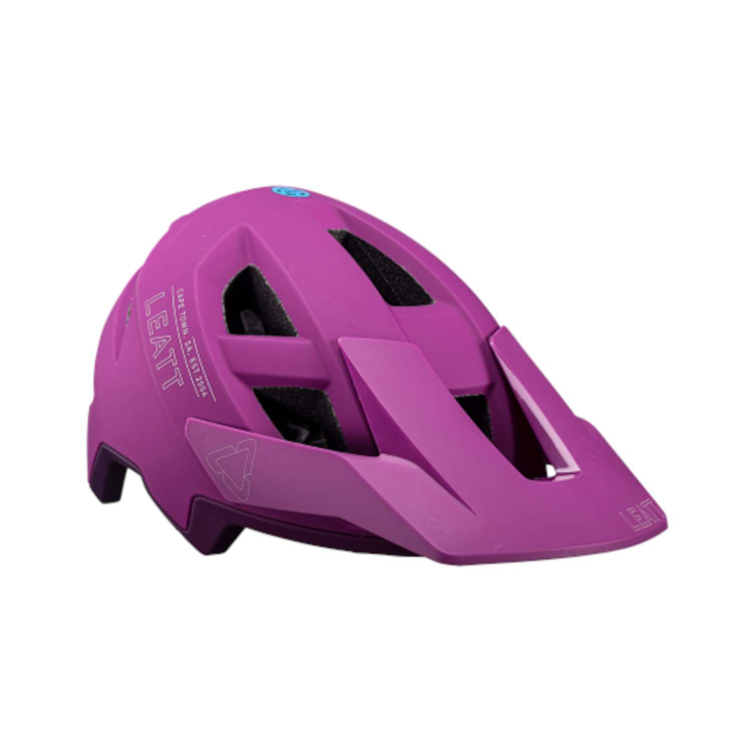 CASCO ALLMTN 2.0 - PURPLE